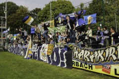 1_auerbach-15