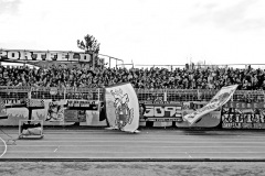 1_dsc_7338