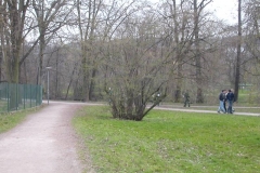 dscn8733