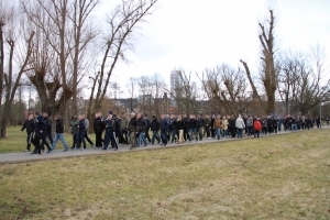 hertha-ii-h-20142015