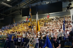 36Wz
