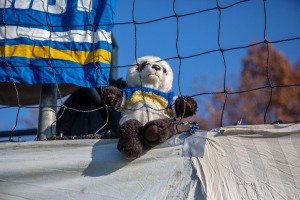 meuselwitz-a-20182019