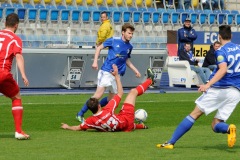 1_fcc_zfc_20042013-2764