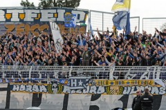 1_fcc_zfc_20042013-2773