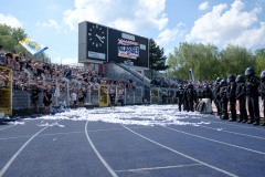 DSF2011