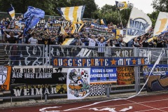 1_neustrelitz-5