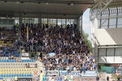 ALP01899