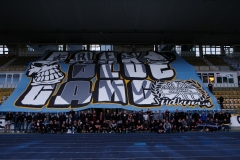 DSCF8015