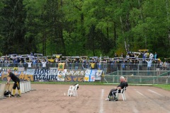 1_torgelow_fcc_11052013-3221
