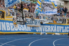 1_T01A0968