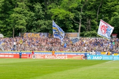 1_T01A1925