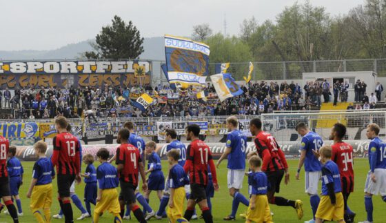 Fcc herthaii 04052013